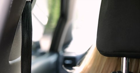 Hand Girl Fastens Seatbelt Car Stock Footage Video (100% Royalty free Hand Girl Fastens Seatbelt Car Stock Footage Video (100% Royalty free