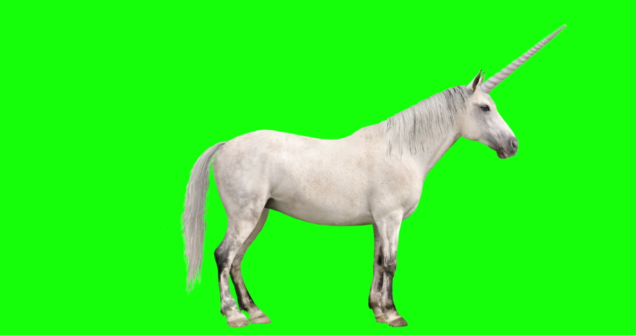 White unicorn with several looping actions. Includes kick, buck, run, jump, canter, rear up, and several seconds of grazing (not loopable)  Royalty-Free Stock Footage #1052321119