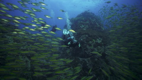 Male SCUBA diver and group with big school of fish and gives awesome signal