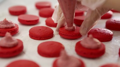 Process of making macaron macaroon, french dessert, squeezing the dough form cooking bag. Hands in gloves.