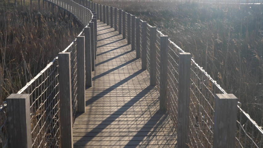 wooden footbridge with thick ropes in a swamp with tall grass.