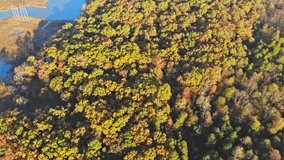 Autumn landscape with forest a height with orange, green and yellow leaves - Powered by Shutterstock - Get 15% off with code: PIKWIZARD15