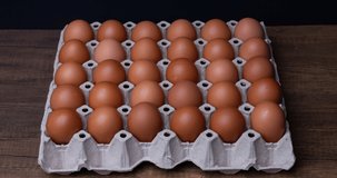 4k Stop motion group of chicken eggs in the panel.