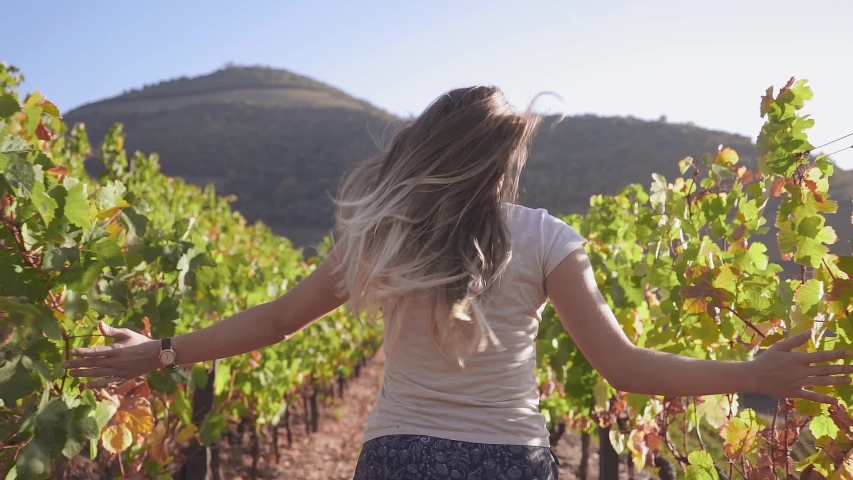Slow motion of young caucasian woman running and jumping of joy with raised arms between a vineyard rows and touching the plants of red grape on a sunshine. Close up