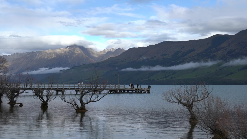 Row Of Partly Submerged Willow Trees at Glenorchy with Glenorchy wharf as background, Otago region, South Island, New Zealand.