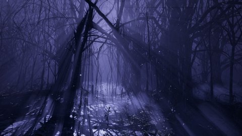 Dark mystical misty forest. A fairy-tale scary forest with tall trees in a thick fog.