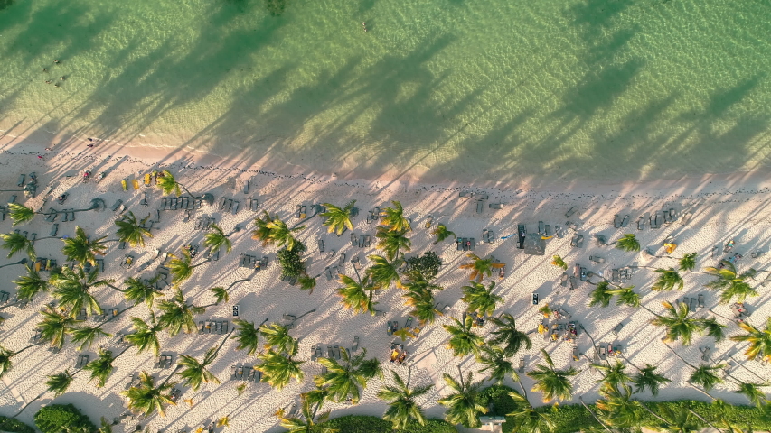 Caribbean tropical beach with palm trees and white sand. Travel and vacation in Bavaro resort. Punta Cana, Dominican Republic