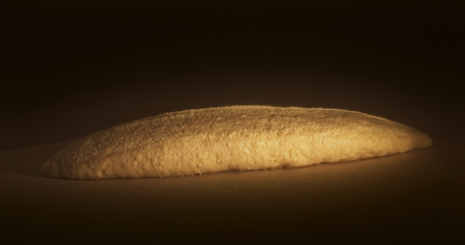 Rising and baking of white bread in bakery oven, timelapse video. Crusty of bread. | Shutterstock HD Video #1052430568