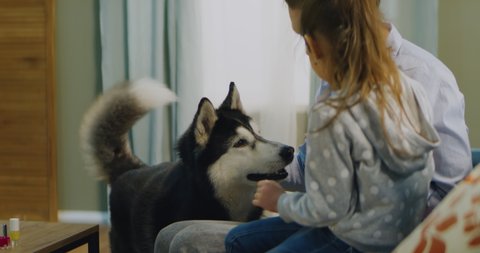 Caucasian mother and daughter sitting on a sofa, playing with pet dog at home. Shot on RED Helium 8k