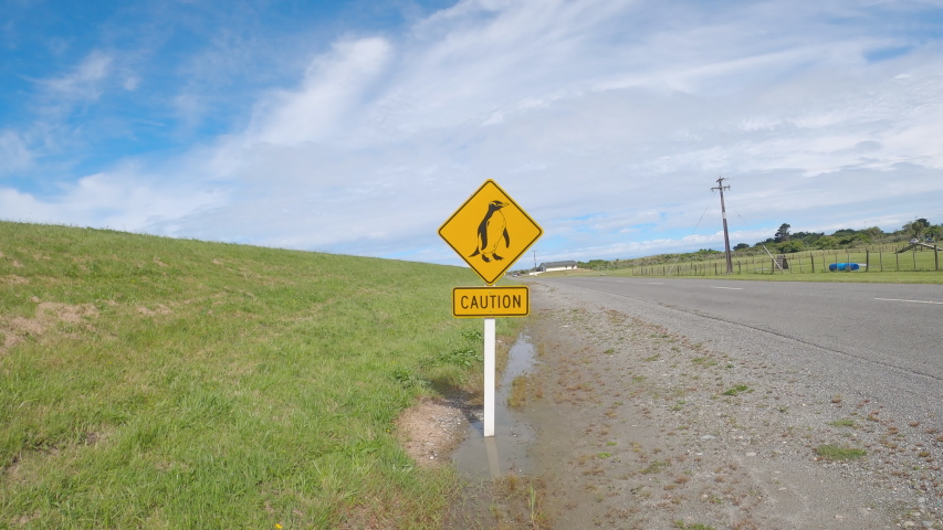 Camera zoom in on penguin sign on the road. Close up view of a penguin sign. Wild animal traffic sign.