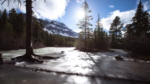 Time lapse shot of river flowing by forest and mountains against sky on sunny day - Banff, Canada