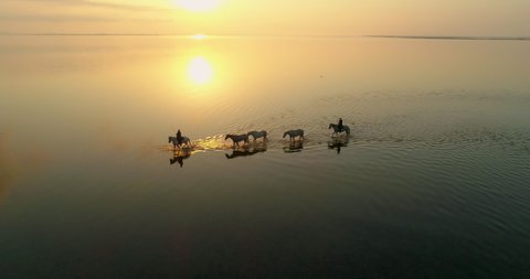 Aerial panning shot of female wranglers wading by sun reflection on sea, drone flying over water during sunset - Camargue, France