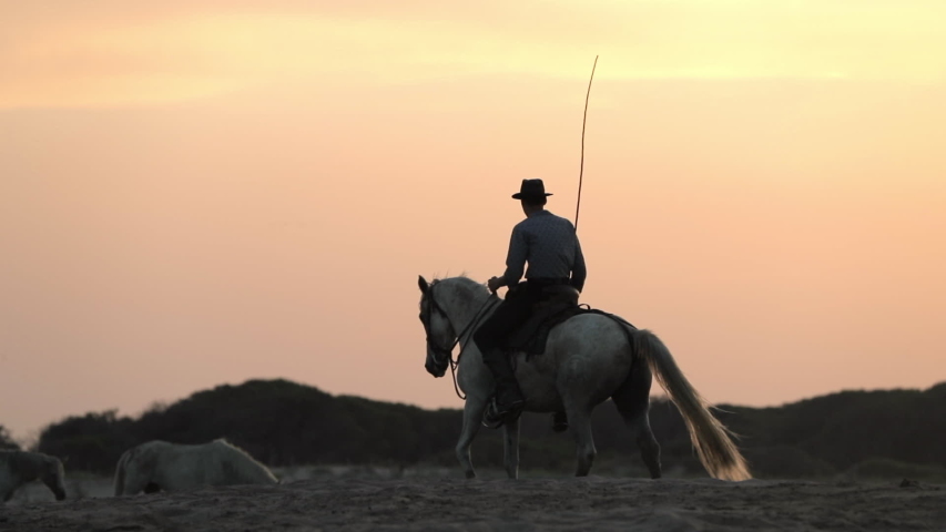 Lockdown shot of wrangler riding horse at beach against orange sky during sunset - Camargue, France