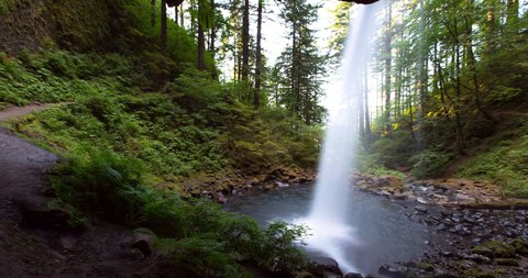 Panning time lapse shot of Horsetail Falls amidst green plants and trees in forest