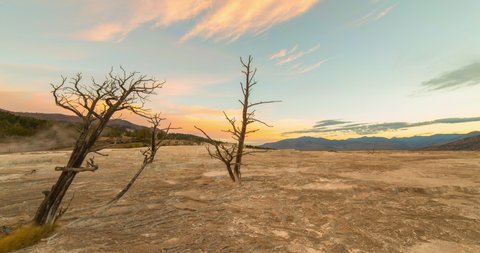 Lockdown time lapse shot of bare trees near hot springs against sky during sunrise - Yellowstone National Park, Wyoming