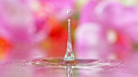 Super Slow Motion Shot of Colorful Floral Background with Droplet Falling into Water at 1000 fps.