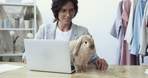 Happy female fashion designer, online clothing shop owner enjoying working from home office using laptop stroking cute funny rabbit pet at workplace sitting at desk having fun with little bunny.