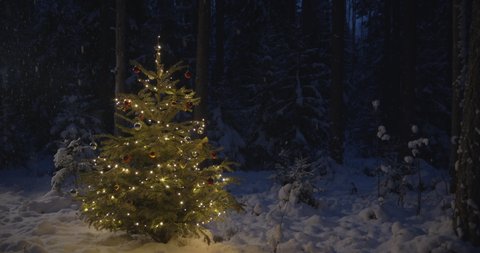 Christmas tree decorated with lights in snowy forest at night