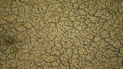 Drought cracked pond wetland, swamp very drying up the soil crust earth climate change, environmental disaster and earth cracks very, death for plants and animals, soil dry degradation marsh