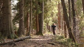 Two People hiking in the Woods with many Trees - They walk on the Forest Trail path towards the camera- Stock Video Clip Footage