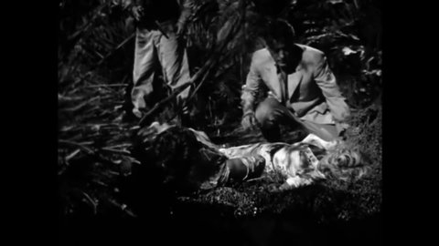 CIRCA 1951 - An ape man (Raymond Burr) is shot on a tropical plantation after trying to run off with a fainted woman.