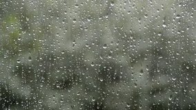 strong rain water drops fall, hit and flow on glass window surface, bad windy summer day weather and green trees blurred background, selective focus of closeup full hd stock video footage in real time