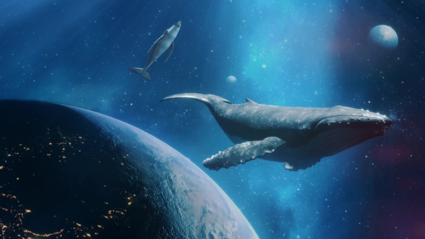 Fantastic Dream Of Flying Whales In Space With Nebula Stars And Planets. Two Whales Above The Planet Earth. Take Me To The Dream Concept. Loop Video Royalty-Free Stock Footage #1052572883