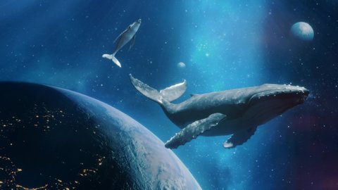Fantastic Dream Of Flying Whales In Space With Nebula Stars And Planets. Two Whales Above The Planet Earth. Take Me To The Dream Concept. Loop Video