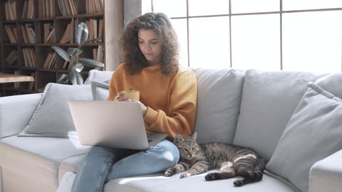 Hispanic teen girl watching movie tv series, social media channel online on laptop relaxing on sofa with cat. Young latin teen girl woman using computer drinking tea enjoy weekend in cozy living room.
