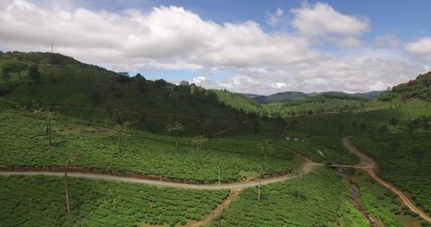 Munnar tea plantations, Kerala, Gods own country. misty Hills