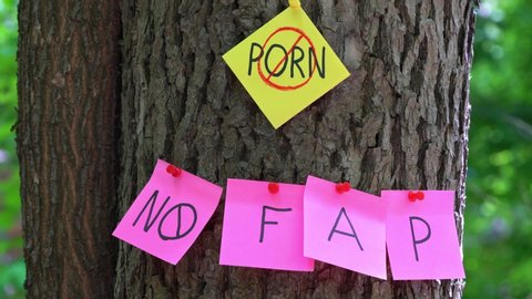 on tree bark stickers with NO PORN inscription