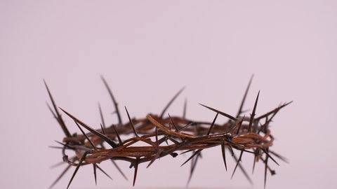 Close Up of Crown of Thorns Spinning on White Background