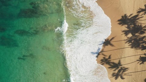 Haena. Aerial top down view over clear, transparent ocean water boiling and foaming at the shore, washing the golden sand of the beach. Bright sun enlightens the gorgeous tropical nature of Hawaii. 4K
