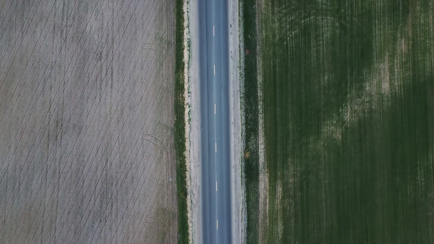The track runs along the forest and sown fields from above.