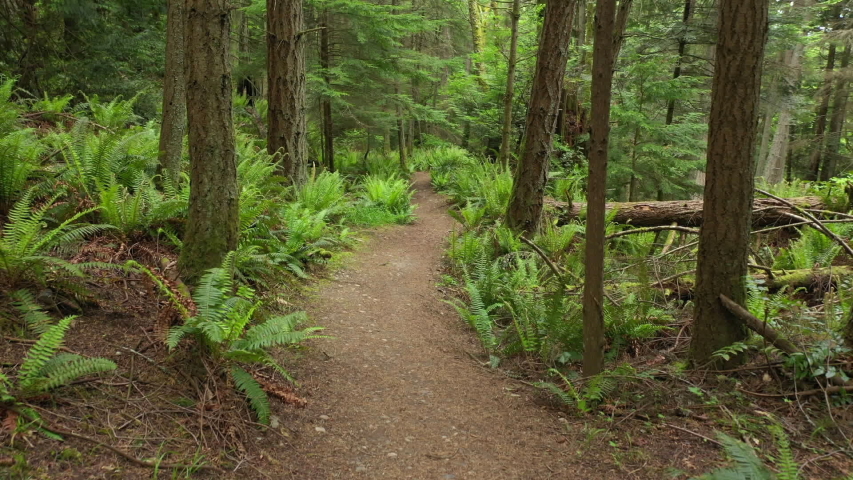 Hiking trail at Spring Green Preserve image - Free stock photo - Public ...