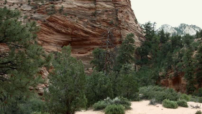 INTERESTING FACE OF A SMALL MOUNTAIN.  HEAVILY WEATHERED LAYERS OF RED SANDSTONE CREATE SOME INTERESTING GEOGRAPHY.  SHOT IN ZION NATIONAL PARK, UTAH.  APPEARS TO BE A SMALL CAVE / SHELTER IN THE FACE