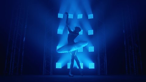 Graceful silhouette ballerina doing a workout in the classroom. Smoke in the rays of blue light. Ballet dancer in white tutu, girl in pointe, whirls around you, slow motion