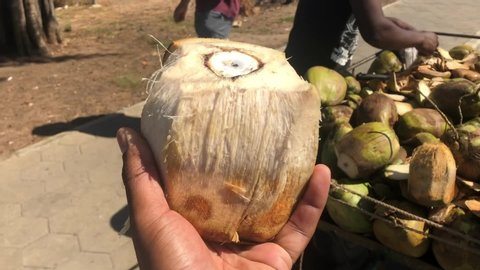 Maputo/Mozambique - November 10 2019 - Buying Coconuts from street vendor Mozambique