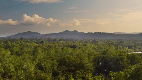 Amazon Rainforest aerial drone footage above the trees, clear blue sky, mist in the air, river
