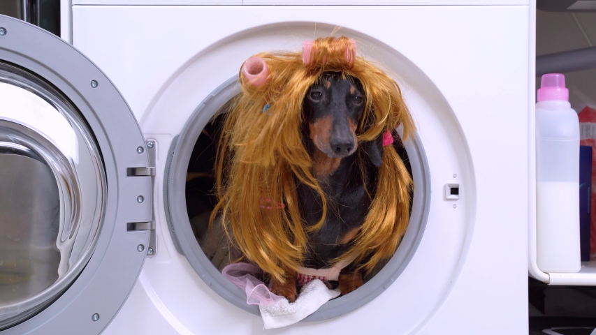 wig washing machine