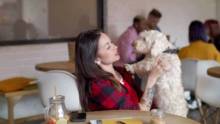 Portrait of young woman sitting in cafe, talking to pet dog. Slow motion. Royalty-Free Stock Footage #1052697551