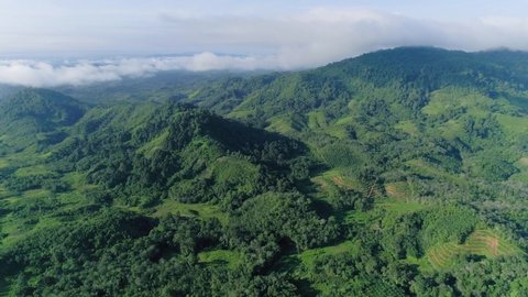 Kuching, Sarawak, Malaysia | June 2018 | Magnificent drone aerial shot of the luscious green Sarawak rainforests in the morning.