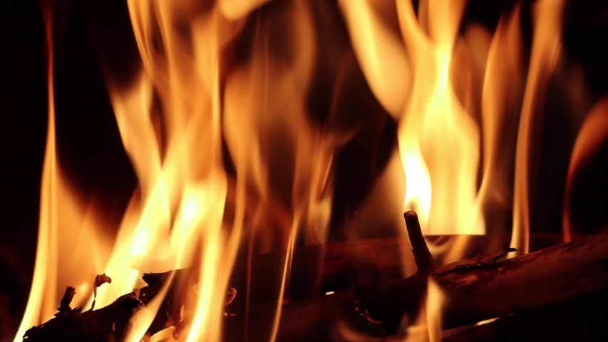 Colorful flame, log burning on fire, backdrop. Fire in fireplace, closeup. Royalty-Free Stock Footage #1052717831