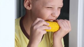 Closeup view video portrait of cute funny healthy white kid eating yellow tasty boiled corn cob looking out of window of his room staying home.