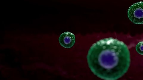 cells destroy cancer hd animation
