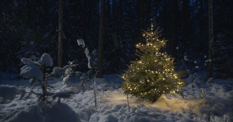 Christmas tree decorated with lights in snowy forest at night