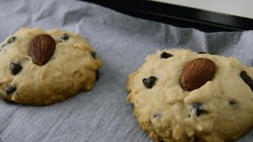 Homemade Chocolate Chip Cookies In Closeup