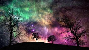 A clear starry night with the Aurora Borealis over a mountain and trees silhouette. - Powered by Shutterstock - Get 15% off with code: PIKWIZARD15