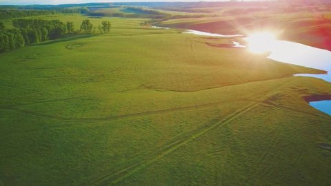 Aerial video flying over green grass field during sunset in spring time