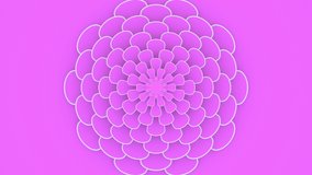 White pink background, flower hypnotic mandala, 3d motion design, layered paper art, looping animated wallpaper, abstract geometric pattern, floral animation, concentric shapes, chrysanthemum bloom. - Powered by Shutterstock - Get 15% off with code: PIKWIZARD15